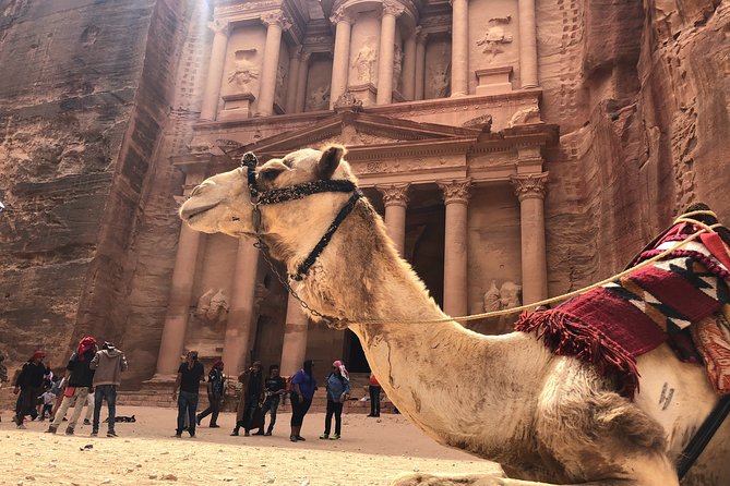 From Amman | Dead Sea and Petra in One Day | Admission Fees Included - Pickup Information
