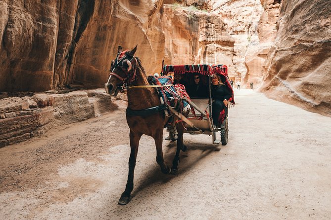 From Amman | Dead Sea and Petra in One Day | Admission Fees Included - Health and Safety Guidelines