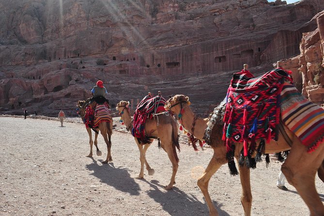 From Amman: One Day Tour to Petra - Pricing and Group Size