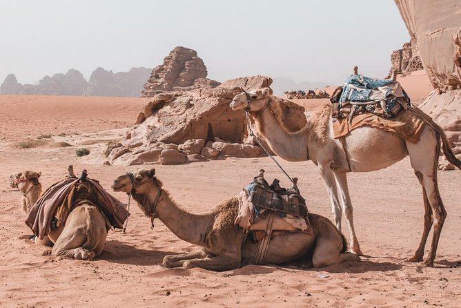 FROM AMMAN | Petra & Wadi Rum in One Day | the Jordanian Mappers - Additional Information