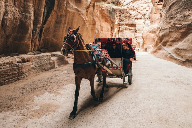 FROM AMMAN | Petra & Wadi Rum in One Day | the Jordanian Mappers - Guided Tour