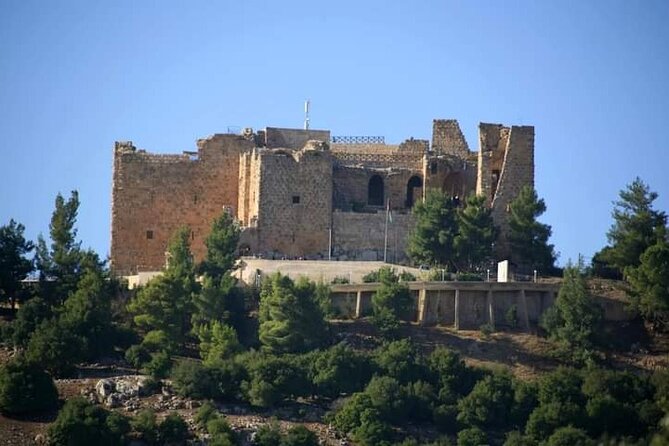From Amman :Private Day Tour to Jerash and Ajloun - Private Transportation