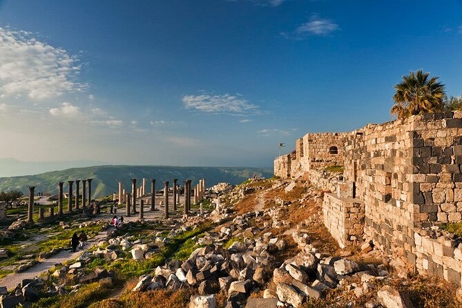 From Amman: Private Full Day Tour Jerash Ajloun & Um Qais - Pickup Details