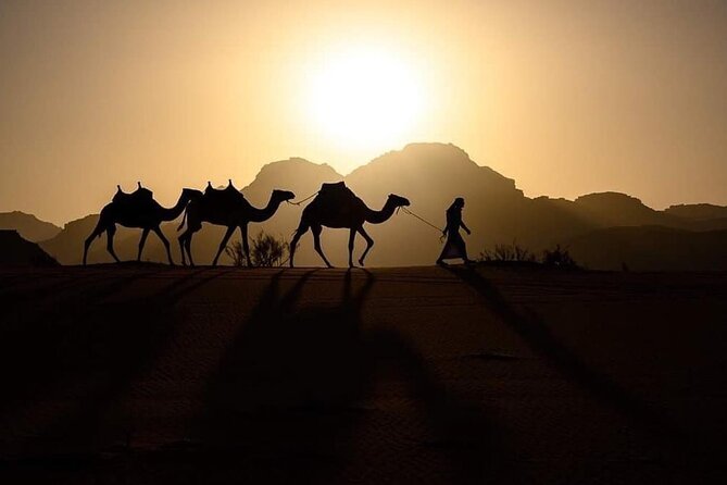 From Amman To-Dead Sea-Aqaba-Wadi Rum-Petra Back to Amman 3 Days - Inclusions and Exclusions