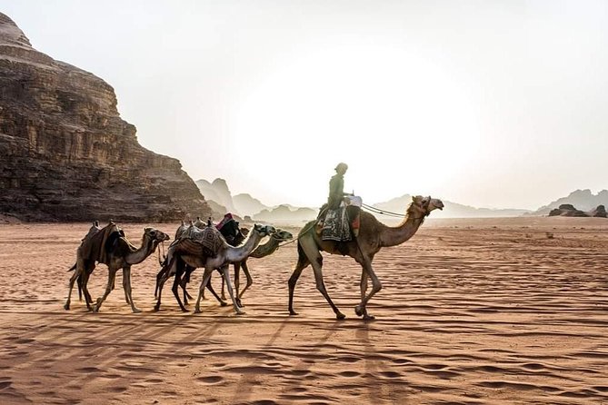 From Amman to Petra and Wadi Rum ( Private Two Days) - Booking and Reservations