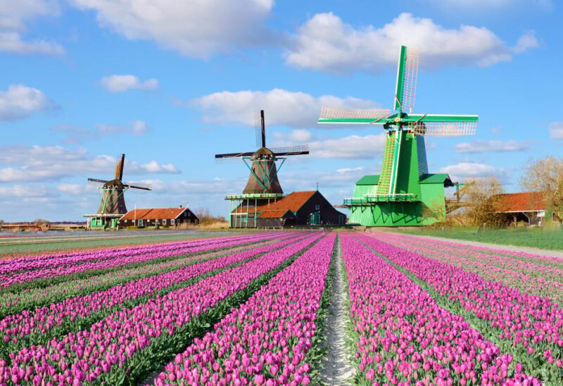 From AMS: Zaanse Schans, Edam, Volendam & Marken - Key Points