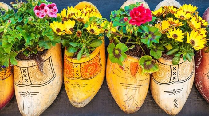 From AMS: Zaanse Schans, Edam, Volendam & Marken - Frequently Asked Questions