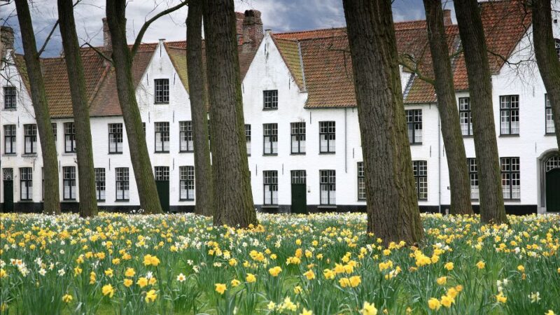 From Amsterdam: Bruges Guided Day Trip in English - Cultural Experiences