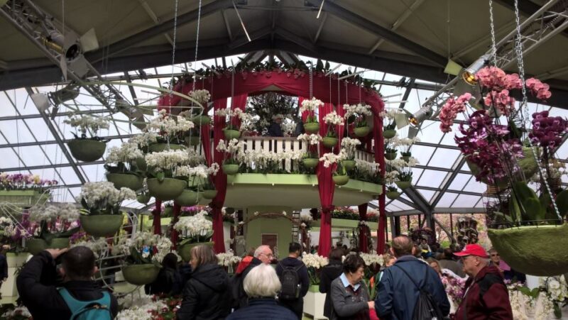 From Amsterdam: Keukenhof and Zaanse Schans Small Group Tour - Key Points