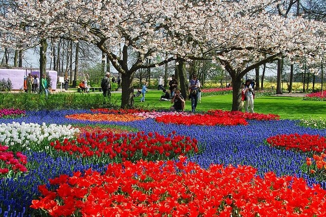 From Amsterdam: Keukenhof Flower Park Ticket and Transfer 2025 - Visitor Experience