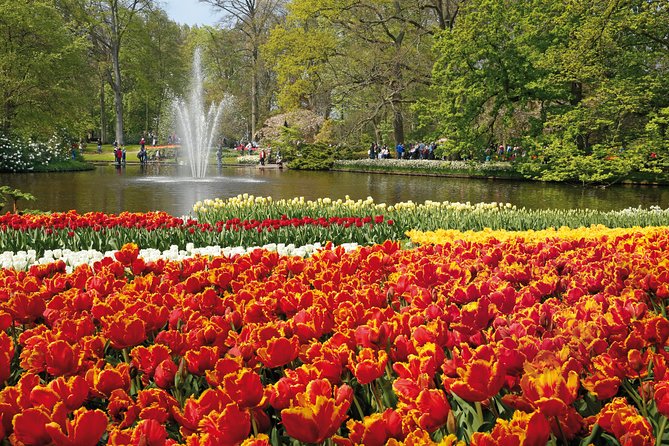 From Amsterdam: Keukenhof Flower Park Ticket and Transfer 2025 - Keukenhof Gardens Highlights