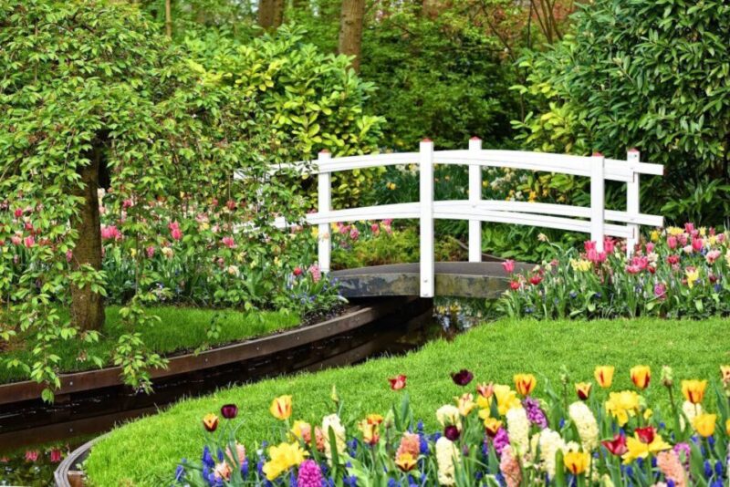 From Amsterdam: Private Keukenhof and Tulip Experience Tour - Exploring Keukenhof Flower Park