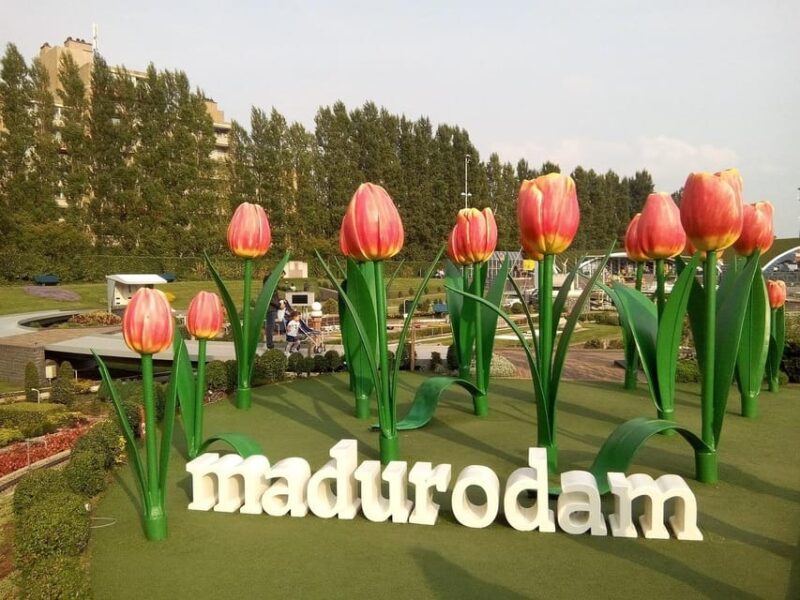 From Amsterdam: Private Tour to the Keukenhof and Madurodam - Tour Inclusions