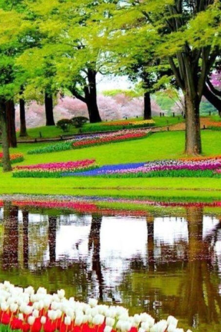 From Amsterdam: Private Tour to the Keukenhof and Madurodam - Customer Feedback