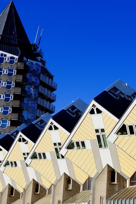 From Amsterdam: Rotterdam and The Hague Tour in Spanish - Itinerary Highlights