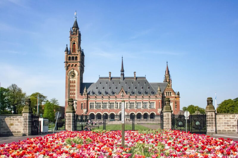 From Amsterdam: Rotterdam, The Hague & Delft Private Tour - Customer Feedback