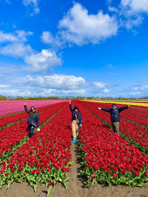 From Amsterdam: Tulip Fields & Windmill Day Trip With Lunch - Key Points