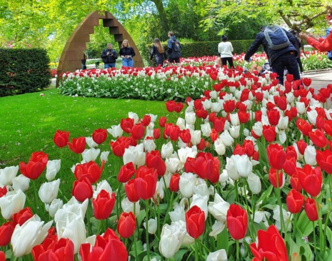 From Amsterdam: Tulip Tour Keukenhof & City Tour Delft - Accessibility and Requirements