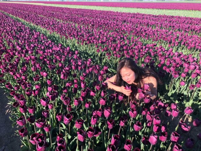 From Amsterdam: Tulip Tour Keukenhof & City Tour Delft - Frequently Asked Questions