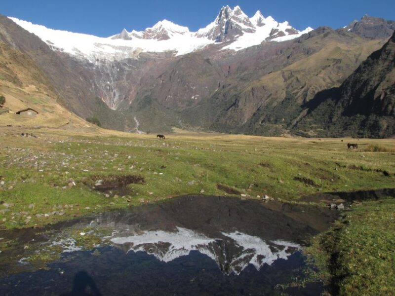 From Ancash: Trekking Alpamayo Cedars |9Days-8Nights| - Key Points