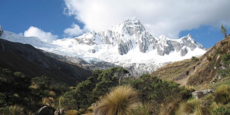From Ancash: Trekking Alpamayo Cedars |9Days-8Nights| - Frequently Asked Questions