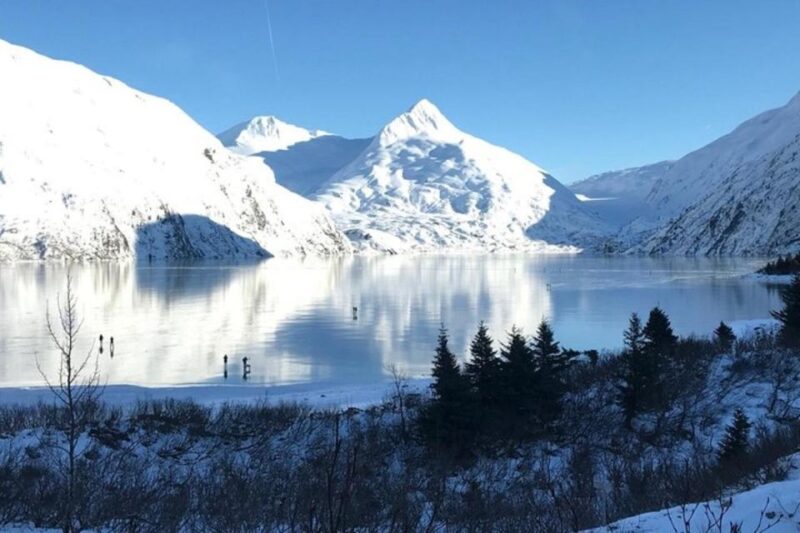 From Anchorage: Alaska Wildlife Center & Turnagain Arm Tour - Alaska Wildlife Conservation Center