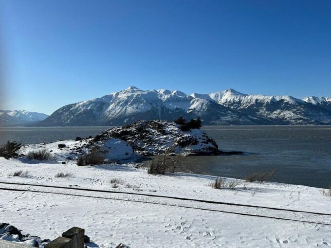 From Anchorage: Alaska Wildlife Center & Turnagain Arm Tour - Potential Beluga Whale Sightings