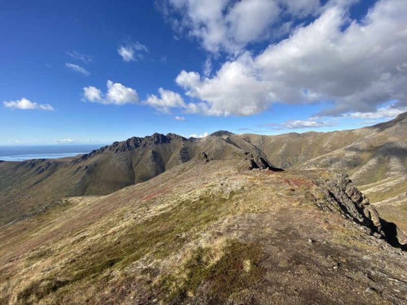 From Anchorage: Chugach State Park Guided Alpine Trek - Hiking Experience