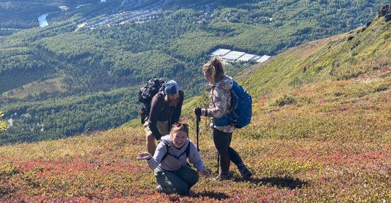 From Anchorage: Chugach State Park Guided Alpine Trek - Itinerary Details