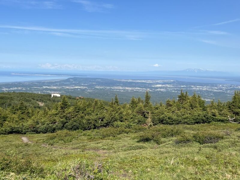From Anchorage: Chugach State Park Walk With Naturalist - Experience Highlights