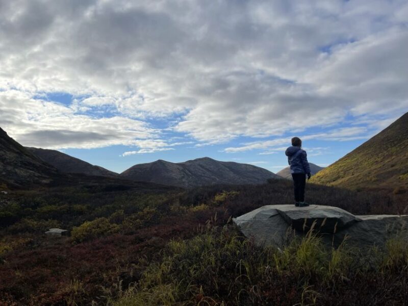 From Anchorage: Chugach State Park Walk With Naturalist - Inclusions and Meeting Point