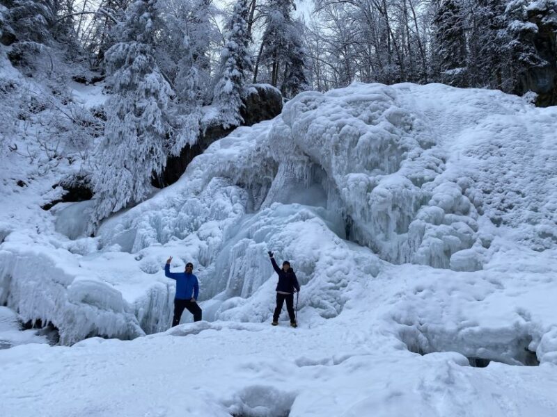 From Anchorage: Chugach State Park Winter Walking Tour - Tour Itinerary