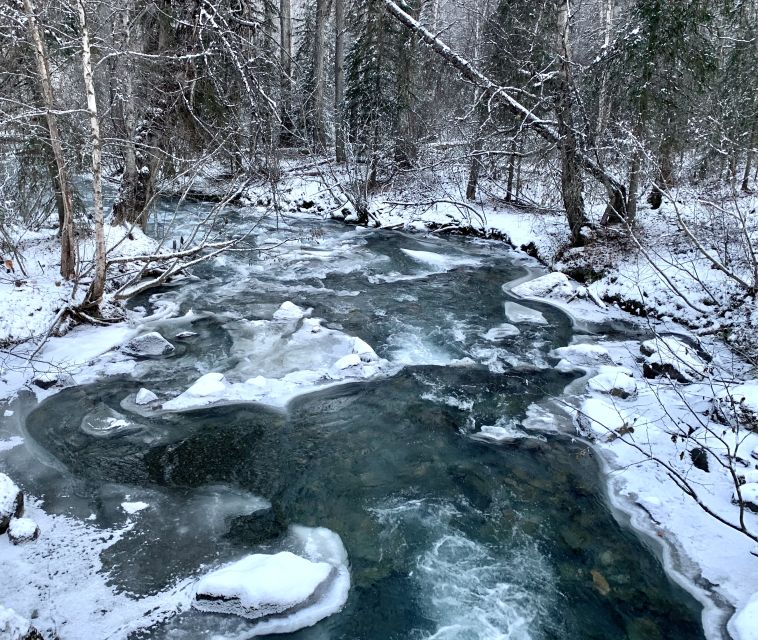 From Anchorage: Chugach State Park Winter Walking Tour - Frequently Asked Questions