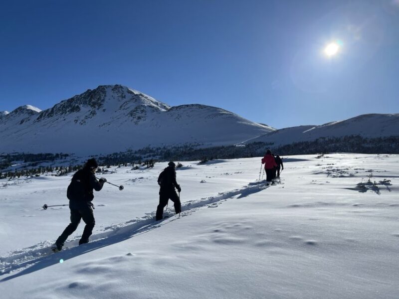 From Anchorage: Glen Alps Beginners Snowshoeing Adventure - Included Amenities