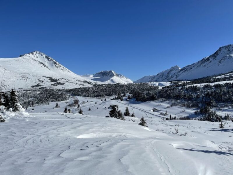 From Anchorage: Glen Alps Beginners Snowshoeing Adventure - Customer Reviews and Ratings
