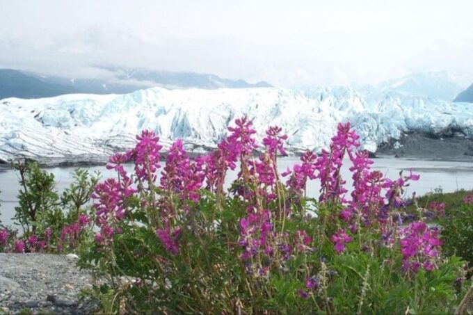From Anchorage: Matanuska Glacier Winter Tour With Lunch - Participant Requirements