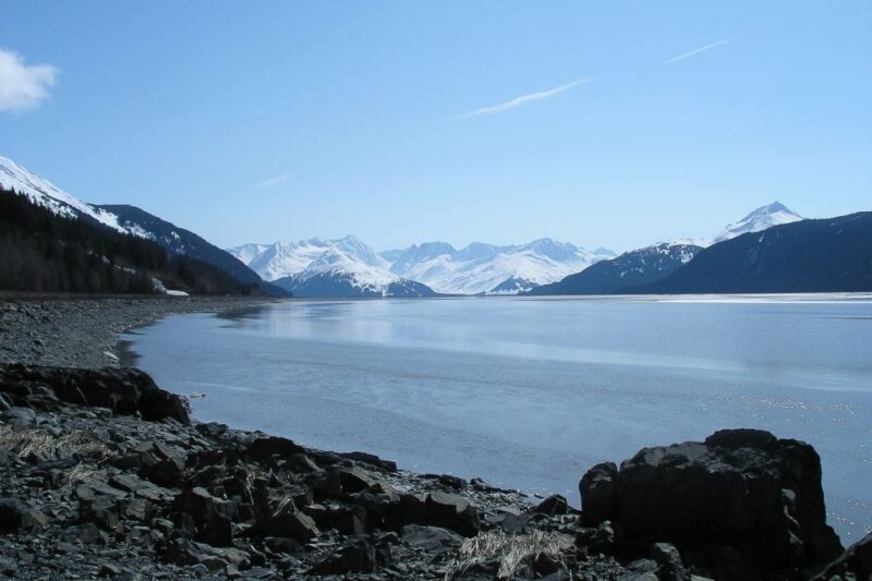 From Anchorage: Portage Glacier and Wildlife Full-Day Tour - Itinerary Highlights