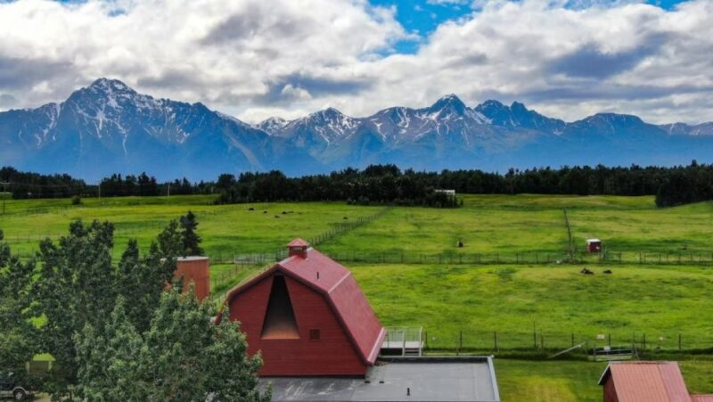 From Anchorage: Scenic Drive and Guided Musk Ox Farm Tour - Scenic Drive to Musk Ox Farm