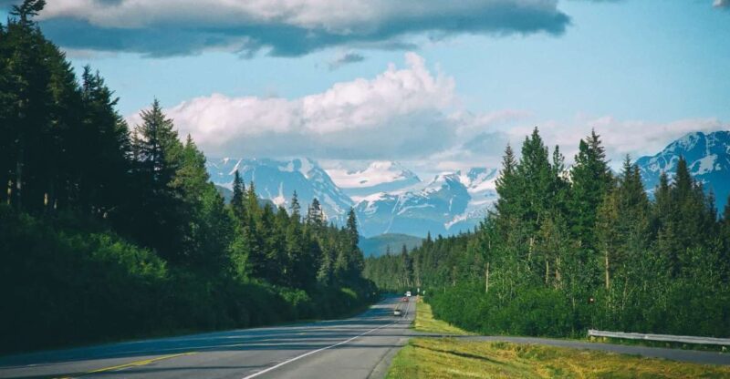 From Anchorage: Turnagain Arm and Wildlife Center Tour - Inclusions