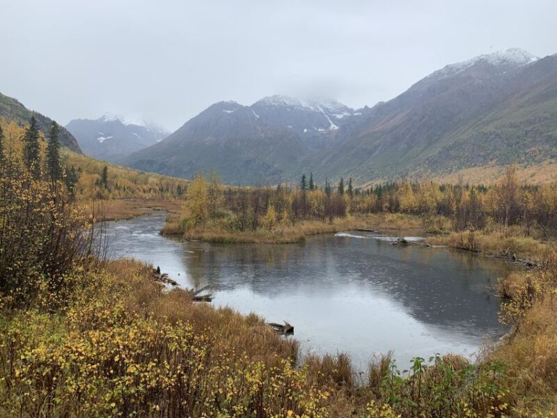 From Anchorage: Valley and Forest Hike With Naturalist Guide - Taking in Nature and Wildlife