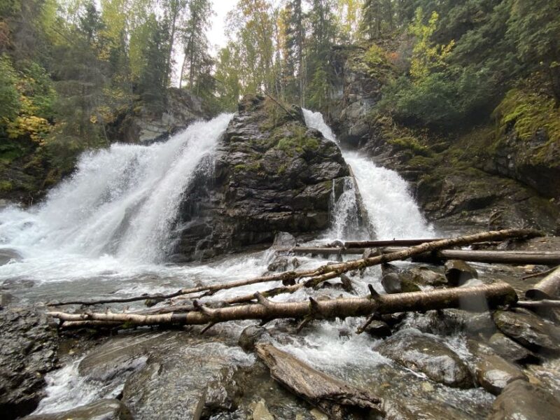 From Anchorage: Valley and Forest Hike With Naturalist Guide - Panoramic Views and Photo Opportunities