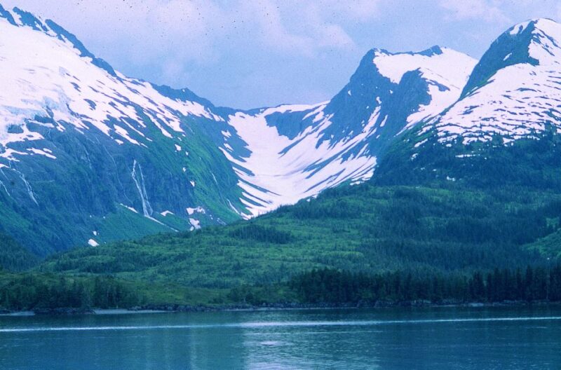 From Anchorage: Wilderness, Wildlife, & Glacier Experience - Guided Commentary and Expertise