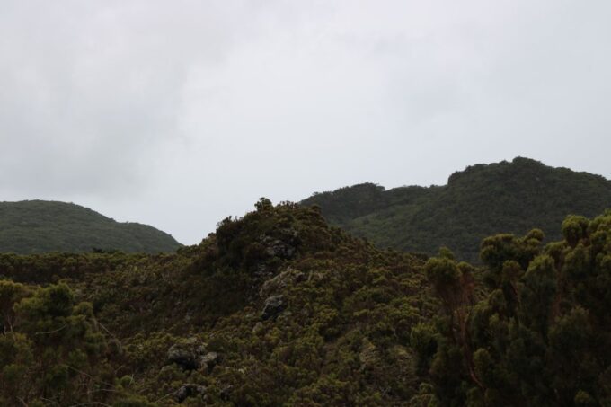 From Angra: 3-Hour Volcano Tour - Frequently Asked Questions