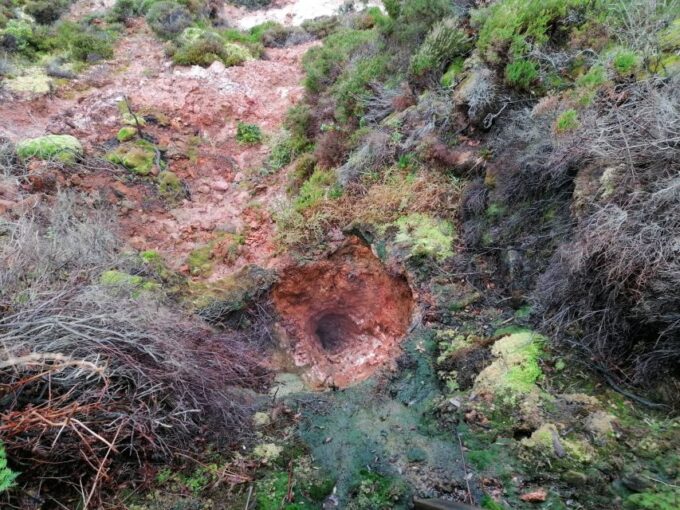 From Angra: 3-Hour Volcano Tour - Group Size and Languages