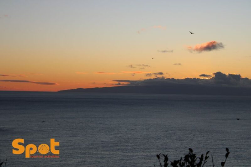 From Angra Do Heroísmo: Terceira Sunset With Local Products - Customer Feedback