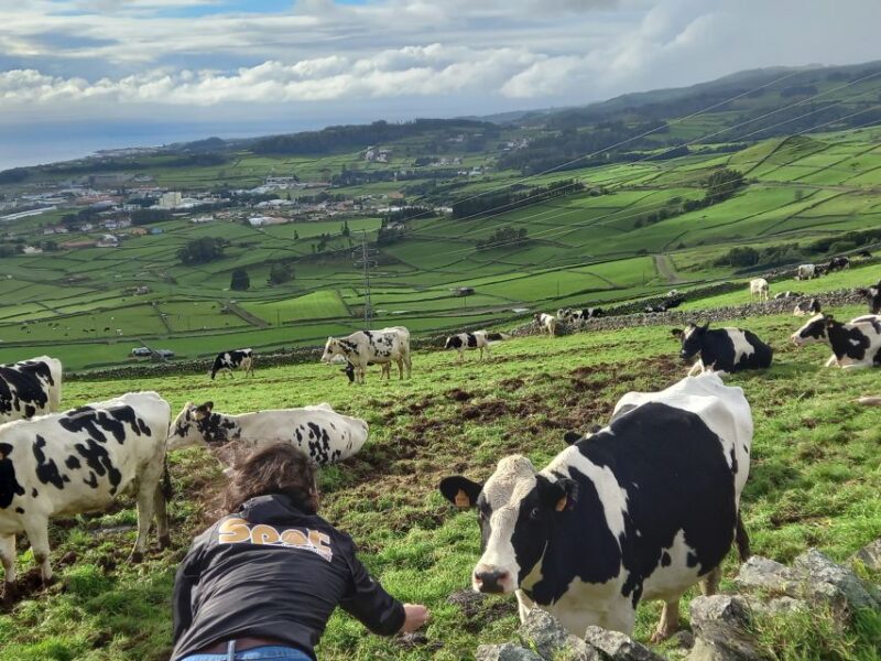 From Angra: Terceira Island Full-Day Jeep Tour - Itinerary Highlights