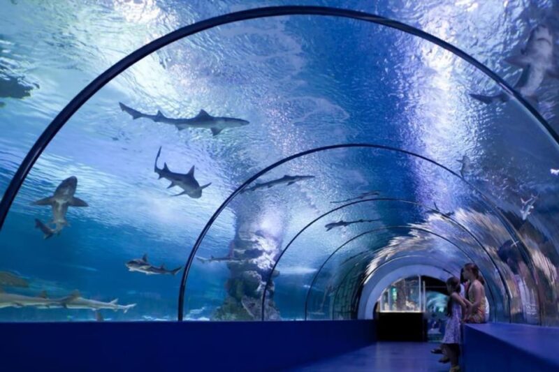 From Antalya All Region: Antalya Aquarium With Transfer - Included Services