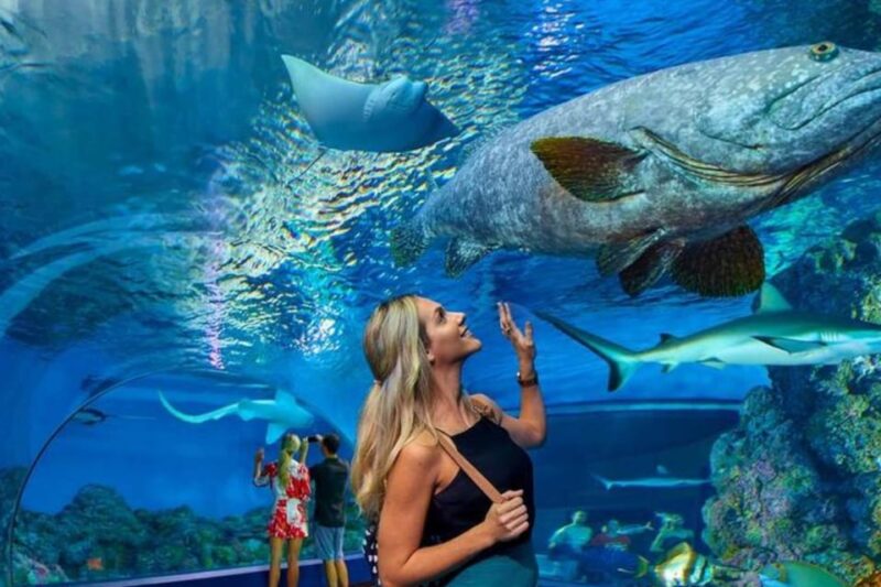 From Antalya All Region: Antalya Aquarium With Transfer - Customer Feedback