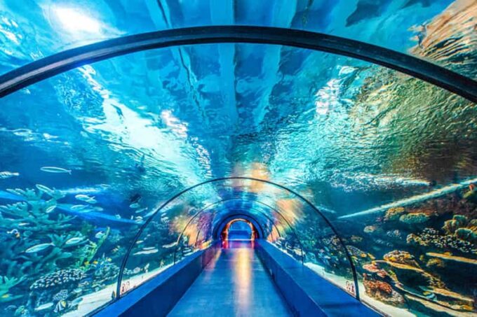 From Antalya All Region: Antalya Aquarium With Transfer - Aquarium Exhibits
