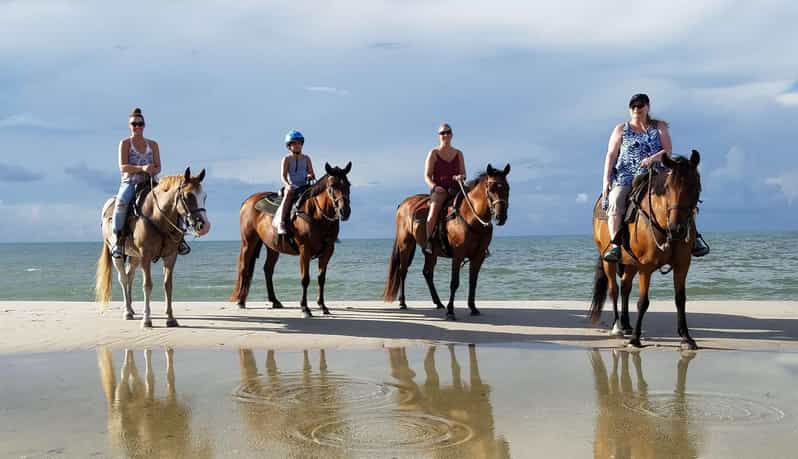 From Antalya, Belek, Kundu: Horse Riding With Hotel Transfer - Key Points